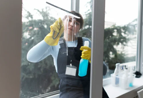 Nettoyage de vitres intérieures et extérieures à Sevrey